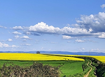 Grande boucle cyclo Châtillon-en-Bazois / Montapas / Etang de Baye - CHATILLON-EN-BAZOIS