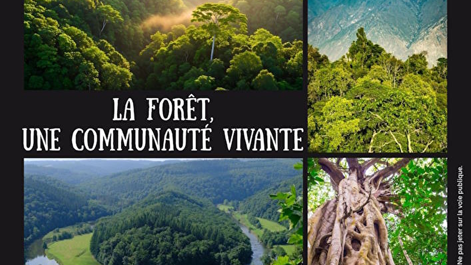 La forêt : une communauté vivante de Yann Arthus-Bertrand