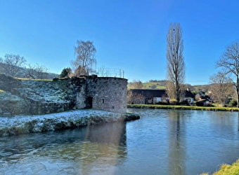 Château d'Alone-Toulongeon - LA CHAPELLE-SOUS-UCHON