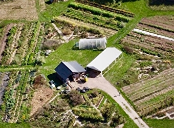 Which Garden - ETANG-SUR-ARROUX