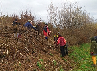 Le Mois de la Plèchie - Cussy-en-Morvan - CUSSY-EN-MORVAN