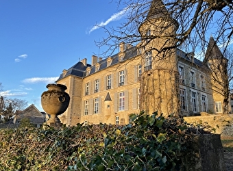 Château de Tharoiseau - THAROISEAU