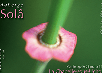 Exposition photographique 'Merveilles du Morvan' - LA CHAPELLE-SOUS-UCHON