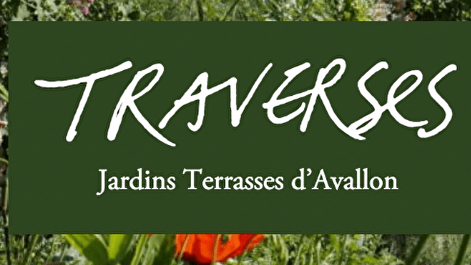 Visite jardins terrasses - Le petit peuple des mares