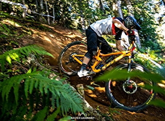 Parcours 2 Vert - Avallon VTT - AVALLON