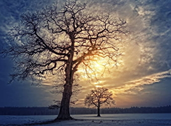 Balade nature symbolique L'HIVER - MARIGNY-L'EGLISE