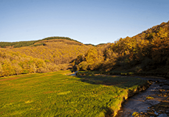 Circuit de randonnée : Queue du lac de Pannecière - CORANCY