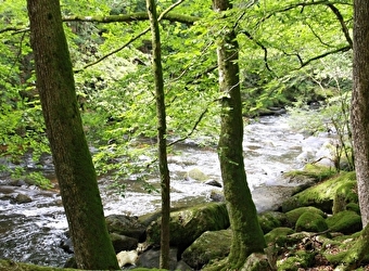 Camping La Croix du Château - DUN-LES-PLACES