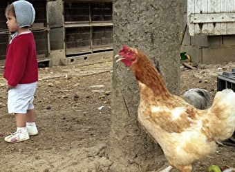 Rencontre-projection par le photographe Philippe Bazin à Bibracte - SAINT-LEGER-SOUS-BEUVRAY