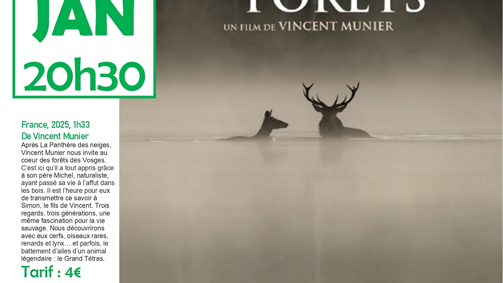 Mercredi du Doc : 'LE CHANT DES FORETS'