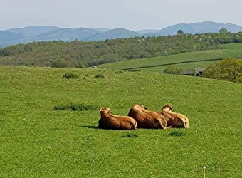 La Ferme de Chauvetière - FLETY