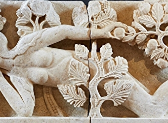 Visite guidée de l'exposition Merveilles Choisies - AUTUN