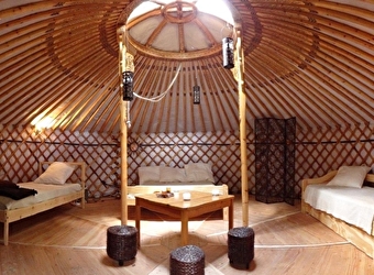 Yourte 'Auprès de mon arbre' - SAINT-MARTIN-DE-LA-MER