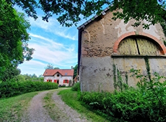 Immersions en forêt - BROYE