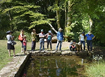 BIBRACTE - SAINT-LEGER-SOUS-BEUVRAY