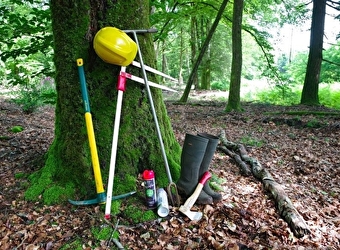 Dans la peau d'un forestier - Samedi 8 août - MONTIGNY-EN-MORVAN