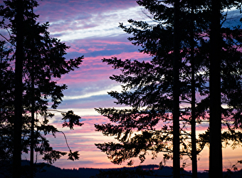 Aire de pique-nique - LA TAGNIERE