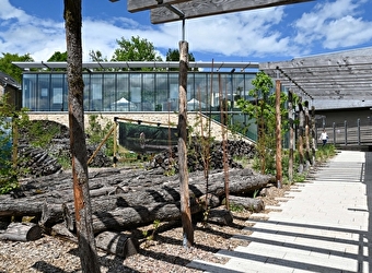 Cité des Présents-François Mitterrand  - CHATEAU-CHINON (VILLE)
