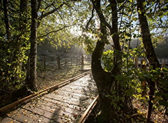 Domaine départemental des Grands-près - SAINT-AGNAN