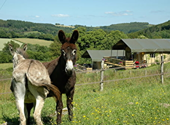 Camping à la Ferme 'Morvan Rustique' - SAINT-PRIX