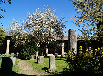Balade au cœur de la ville antique - AUTUN