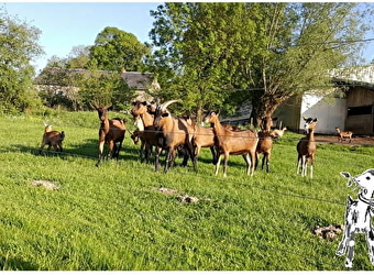 Fromagerie de Siloé - VILLAPOURCON