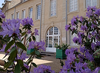 Museum d'Histoire Naturelle Jacques de La Comble - AUTUN