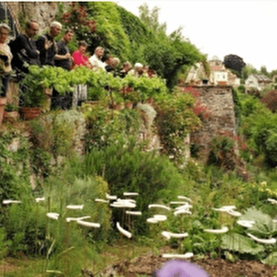 Visite jardins terrasses - Le petit peuple des mares