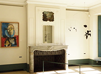 Musée Départemental d'Art Moderne - Collection Zervos - VEZELAY