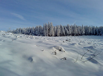 Association SKIMO ou comment skier sur le massif du Haut Folin - ARLEUF