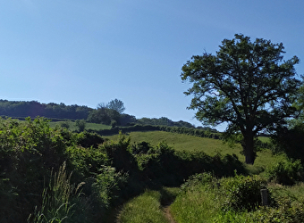 Le sentier de la Maison des Hommes et des Paysages - Vendredi 31 juillet  - SAINT-BRISSON
