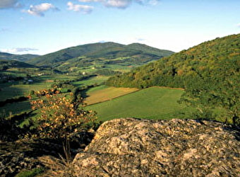 Le Massif du Morvan - SAINT-BRISSON