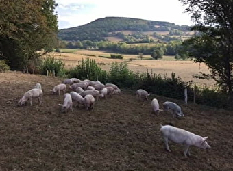 GAEC de Rivière - LAROCHEMILLAY