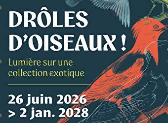 Exposition 'Drôles d'oiseaux : lumière sur une collection exotique' - AUTUN