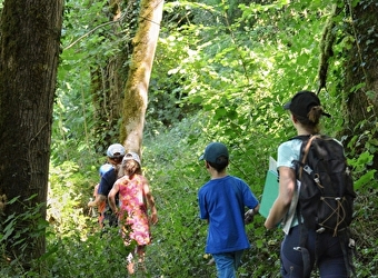  Randonnée commentée : Le long de la Cure entre rivière, forêt et bocage - PIERRE-PERTHUIS