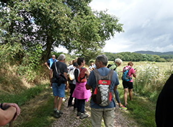 Circuit du Balcon du Morvan - LA TAGNIERE
