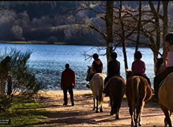Majaz'L - Centre Equestre du Bois du Loup - SAINT-AGNAN