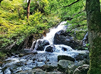 Les Gorges de La Canche - ROUSSILLON-EN-MORVAN