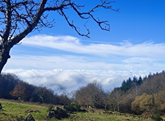 Gîte d'étape de la Pierre qui Croule  - LA TAGNIERE