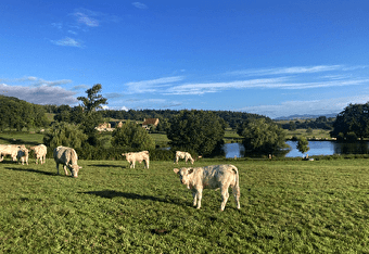 Les Prairies Gourmandes du Morvan - EARL Landrot Frères - MILLAY