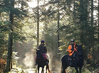 Les Isabaux - LA ROCHE-EN-BRENIL