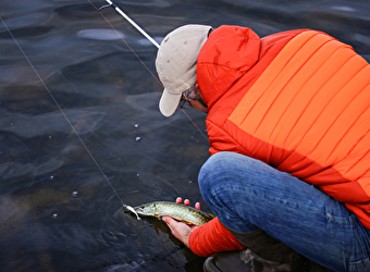 Le parcours sauvage - LA CELLE-EN-MORVAN