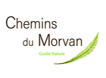 Thibault Fourrier - Chemins du Morvan - CHASTELLUX-SUR-CURE