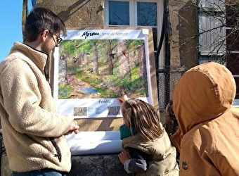 La Fourmi Vagabonde - SAINT-BRISSON
