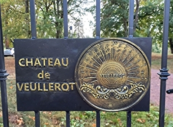 Chateau de Veullerot - LIERNAIS