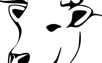  Pascal Fichot et  Muriel Petident - GACOGNE