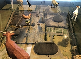 Musée décalé, une visite famille à Bibracte - SAINT-LEGER-SOUS-BEUVRAY