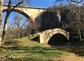 Balade 'Le long de la Cure entre rivière, forêt et bocage' - PIERRE-PERTHUIS