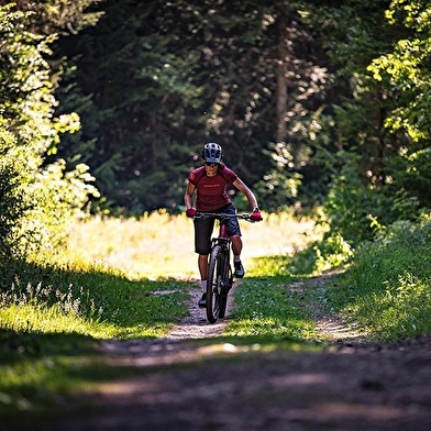Moulin Renaudiots - Location de vélo 