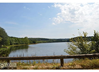 Boucle des Sapins de Noël - CHAMPEAU-EN-MORVAN